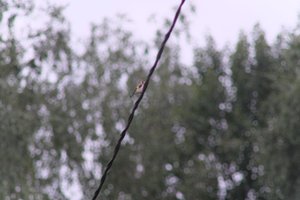 DSCF0828.JPG