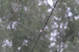 DSCF0829.JPG