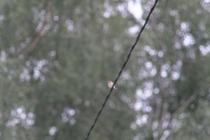 DSCF0830.JPG