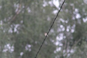 DSCF0831.JPG