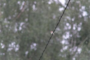 DSCF0835.JPG