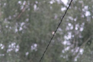 DSCF0836.JPG