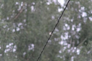 DSCF0840.JPG