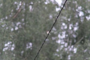 DSCF0841.JPG
