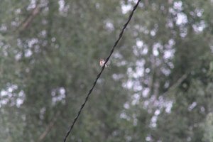 DSCF0845.JPG