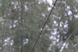 DSCF0848.JPG