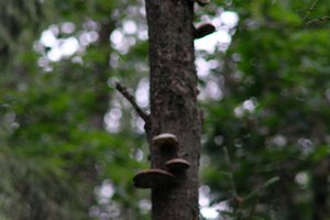 DSCF0849.JPG