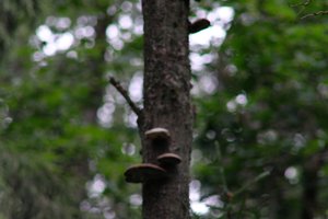 DSCF0850.JPG