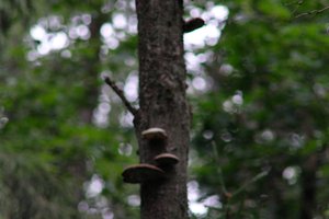 DSCF0851.JPG