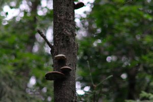 DSCF0860.JPG