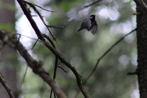DSCF0913.JPG