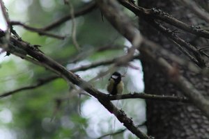DSCF0924.JPG