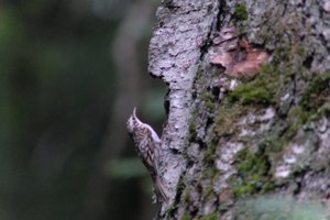 DSCF0931.JPG