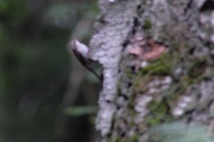 DSCF0939.JPG