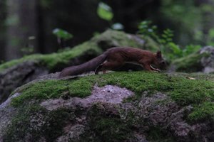 DSCF0951.JPG
