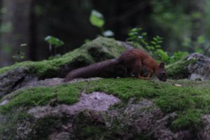 DSCF0953.JPG