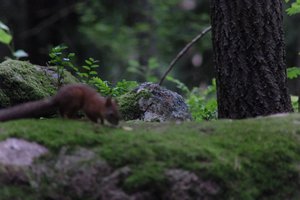 DSCF0961.JPG