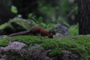DSCF0965.JPG