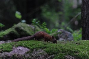 DSCF0967.JPG