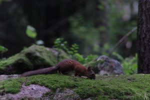 DSCF0968.JPG