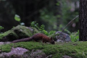 DSCF0970.JPG