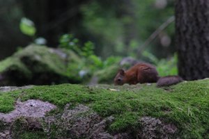 DSCF0977.JPG