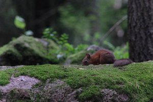 DSCF0978.JPG