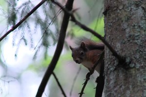 DSCF1031.JPG