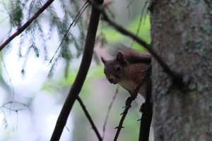 DSCF1038.JPG