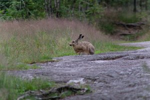 DSCF1048.JPG