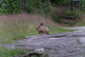 DSCF1051.JPG