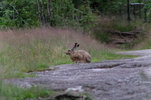DSCF1052.JPG