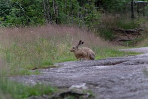 DSCF1053.JPG