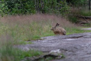 DSCF1055.JPG