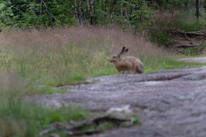 DSCF1057.JPG