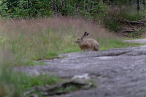 DSCF1058.JPG
