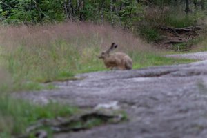 DSCF1059.JPG
