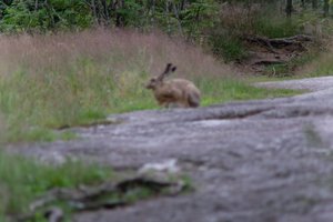 DSCF1060.JPG