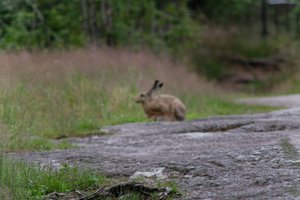 DSCF1061.JPG
