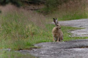 DSCF1075.JPG