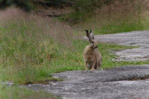 DSCF1076.JPG