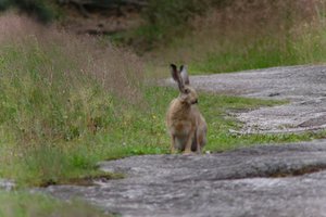 DSCF1077.JPG