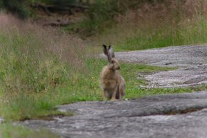 DSCF1078.JPG