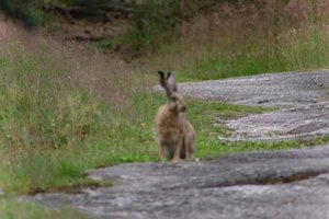 DSCF1079.JPG