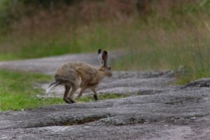 DSCF1084.JPG