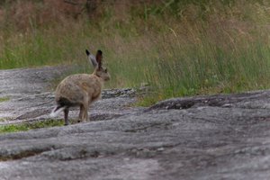 DSCF1091.JPG