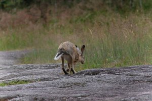 DSCF1095.JPG