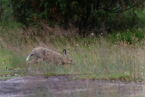 DSCF1103.JPG