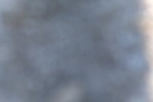 DSCF1159.JPG