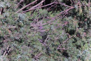 DSCF1189.JPG